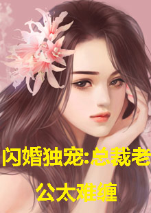 闪婚独宠,总裁老公太难缠